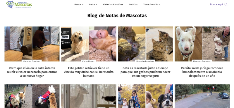 Buscador blog - Notas de Mascotas en Bitakoras