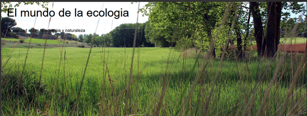 Buscador blog - El mundo de la ecologia en Bitakoras