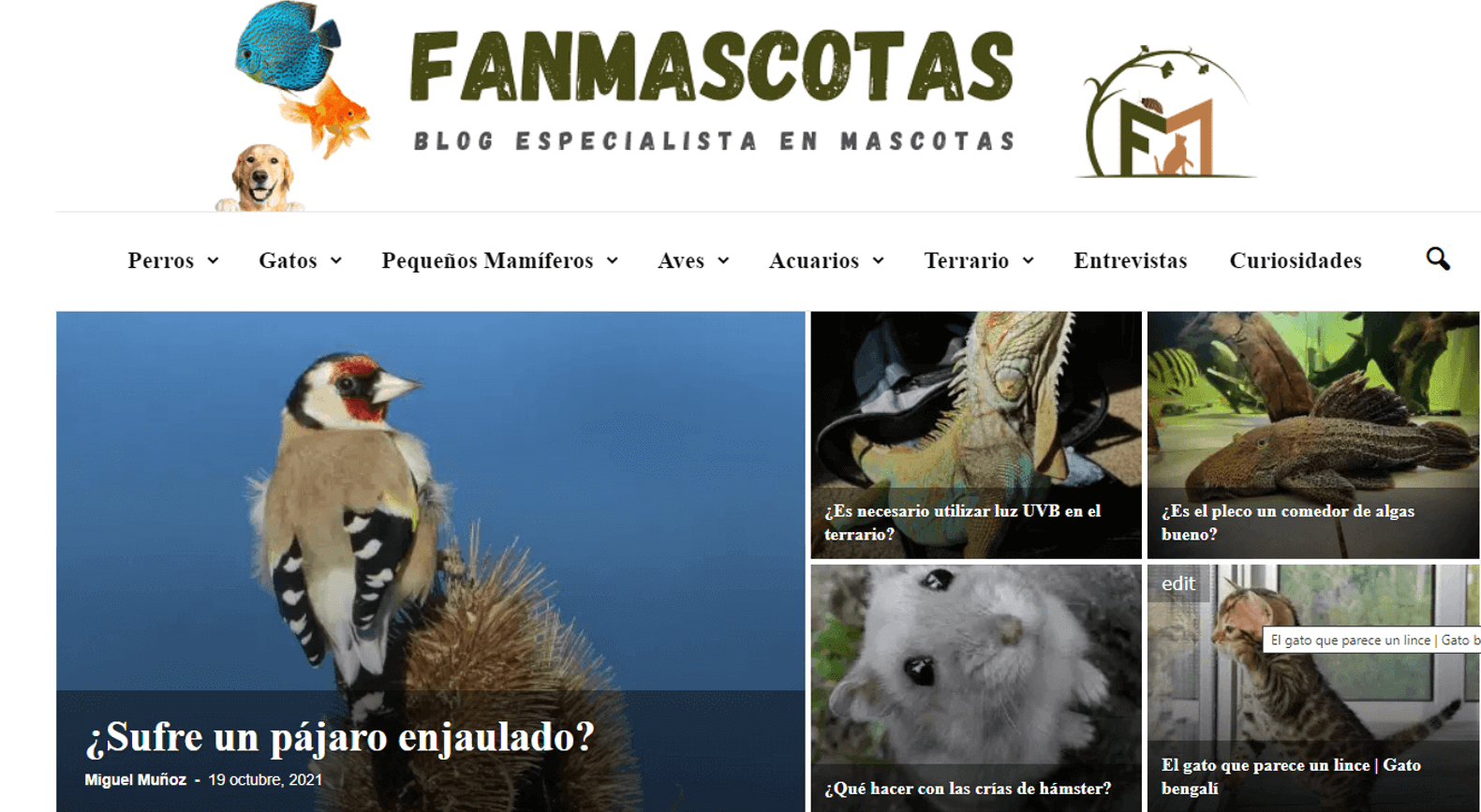 Buscador blog - Fanmascotas en Bitakoras