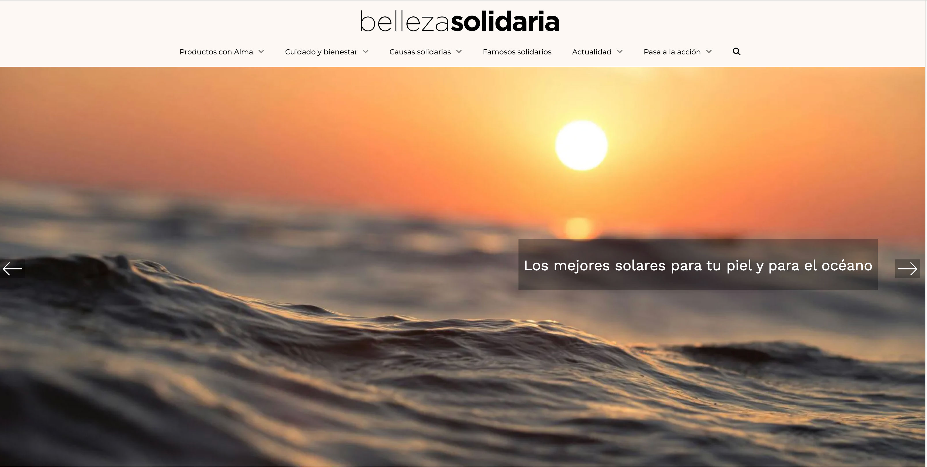 Buscador blog - Bellezasolidaria.net en Bitakoras